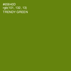 #65840D - Trendy Green Color Image