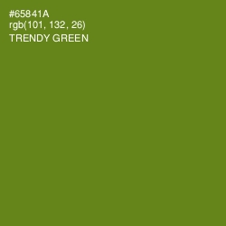 #65841A - Trendy Green Color Image