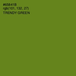 #65841B - Trendy Green Color Image