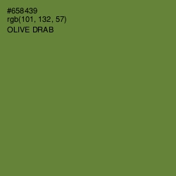 #658439 - Olive Drab Color Image