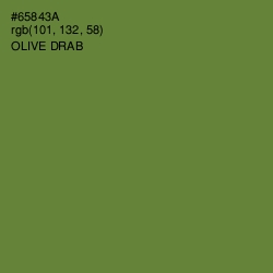 #65843A - Olive Drab Color Image