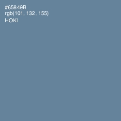 #65849B - Hoki Color Image