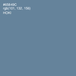 #65849C - Hoki Color Image