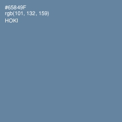 #65849F - Hoki Color Image