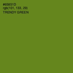 #65851D - Trendy Green Color Image