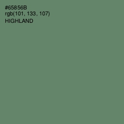 #65856B - Highland Color Image