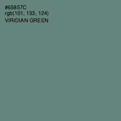 #65857C - Viridian Green Color Image