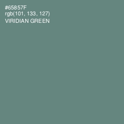 #65857F - Viridian Green Color Image