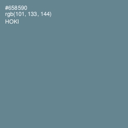 #658590 - Hoki Color Image