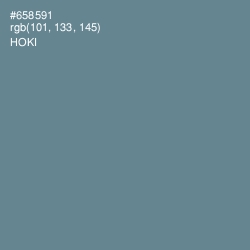 #658591 - Hoki Color Image