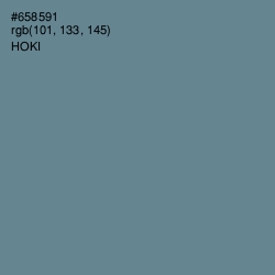 #658591 - Hoki Color Image