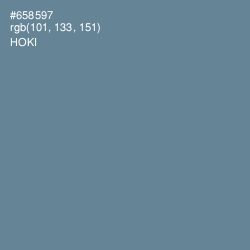 #658597 - Hoki Color Image