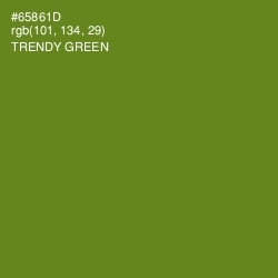 #65861D - Trendy Green Color Image