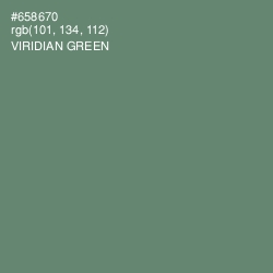 #658670 - Viridian Green Color Image