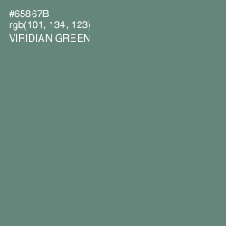 #65867B - Viridian Green Color Image