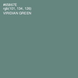 #65867E - Viridian Green Color Image