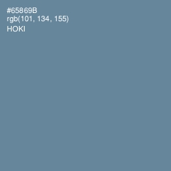 #65869B - Hoki Color Image