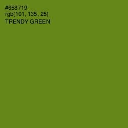 #658719 - Trendy Green Color Image