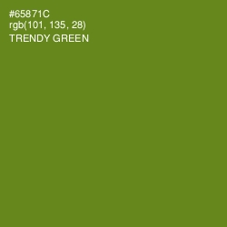 #65871C - Trendy Green Color Image