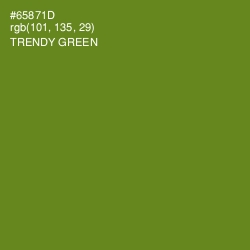 #65871D - Trendy Green Color Image