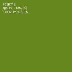 #65871E - Trendy Green Color Image