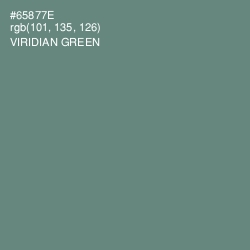 #65877E - Viridian Green Color Image