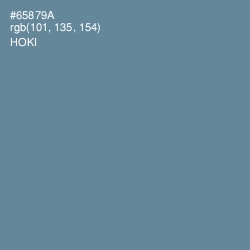 #65879A - Hoki Color Image