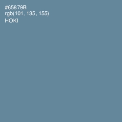 #65879B - Hoki Color Image