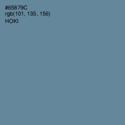 #65879C - Hoki Color Image