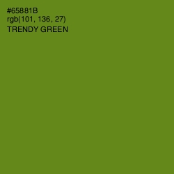 #65881B - Trendy Green Color Image