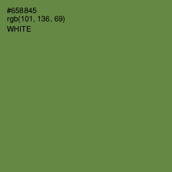 #658845 - Glade Green Color Image