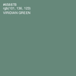 #65887B - Viridian Green Color Image