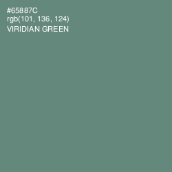 #65887C - Viridian Green Color Image