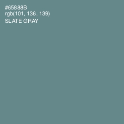 #65888B - Slate Gray Color Image