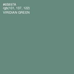 #65897A - Viridian Green Color Image