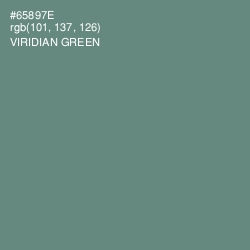 #65897E - Viridian Green Color Image