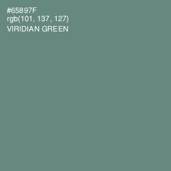 #65897F - Viridian Green Color Image