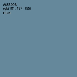 #65899B - Hoki Color Image