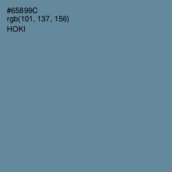 #65899C - Hoki Color Image