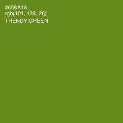 #658A1A - Trendy Green Color Image