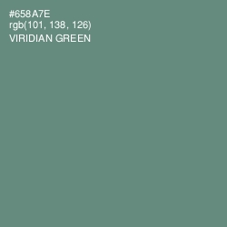 #658A7E - Viridian Green Color Image