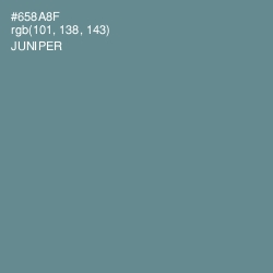 #658A8F - Juniper Color Image