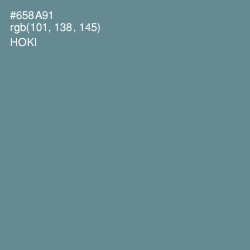 #658A91 - Hoki Color Image