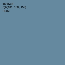 #658A9F - Hoki Color Image