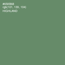 #658B68 - Highland Color Image