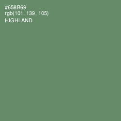 #658B69 - Highland Color Image