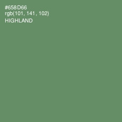 #658D66 - Highland Color Image