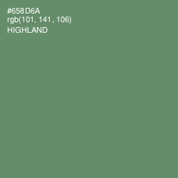 #658D6A - Highland Color Image