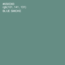 #658D83 - Blue Smoke Color Image