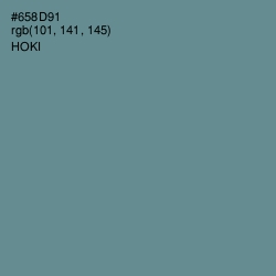 #658D91 - Hoki Color Image